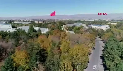 Erzurum’da Sonbahar Güzellikleri: Kar ve Renk Cümbüşü